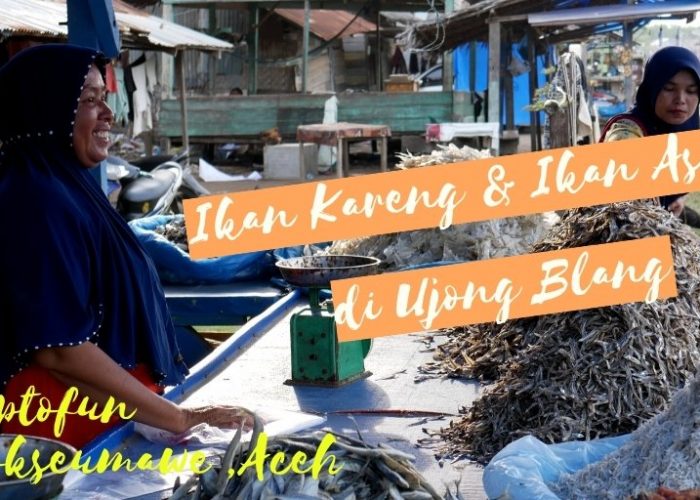 ikan-asin-ujong-blang