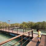wisata jubail mangrove park