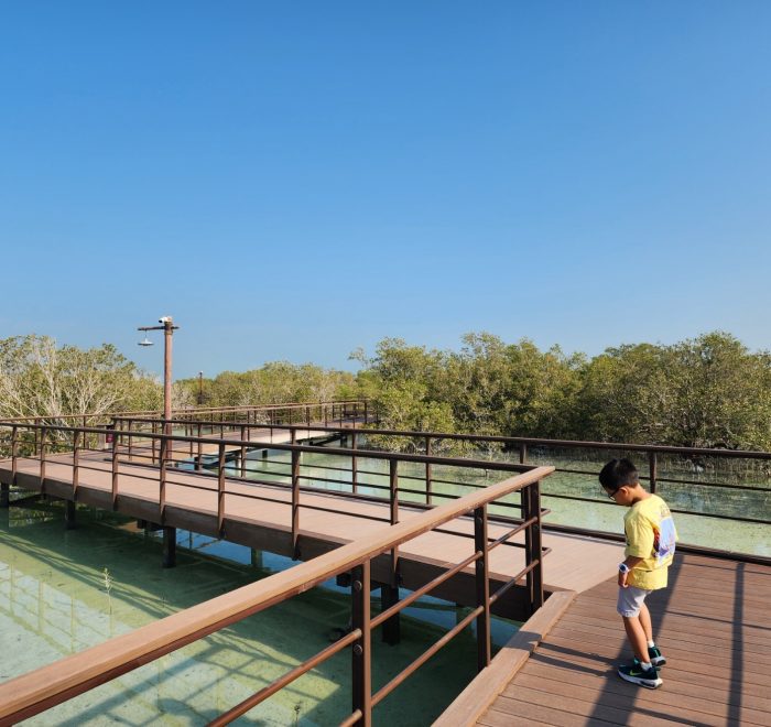 wisata jubail mangrove park